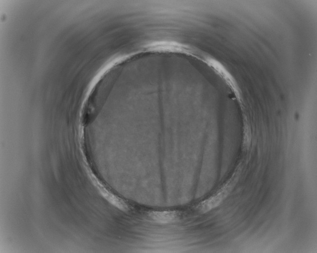 X0000087631376200705311318