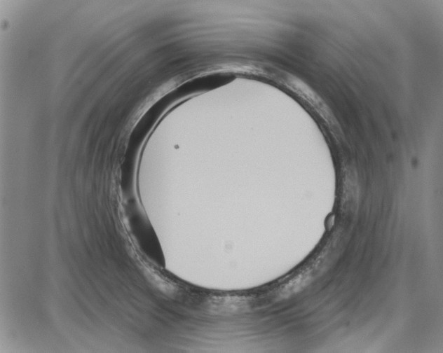 X0000087631377200705311318