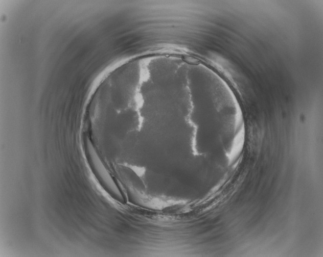 X0000087631379200705311318