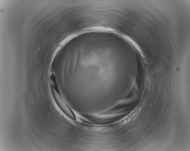 X0000087631381200705311318