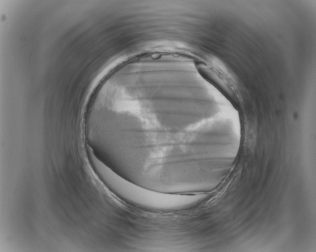 X0000087631384200705311318