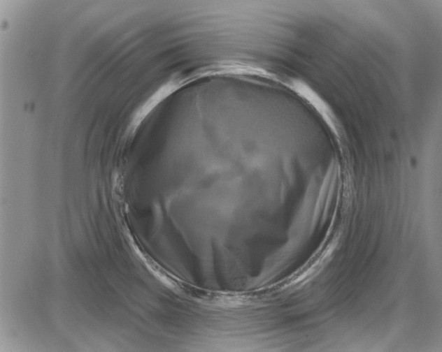 X0000087631385200705311318