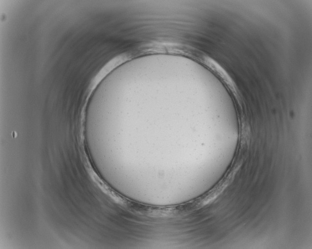 X0000087631386200705311318