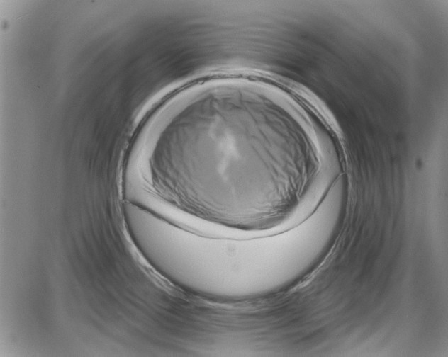 X0000087631388200705311318