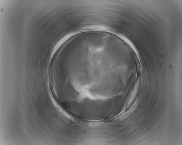 X0000087631389200705311318