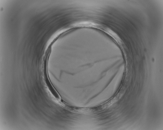 X0000087631392200705311318