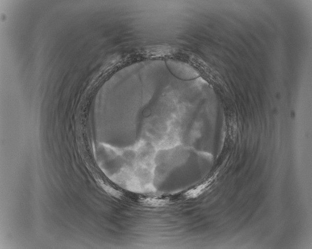 X0000087631393200705311317