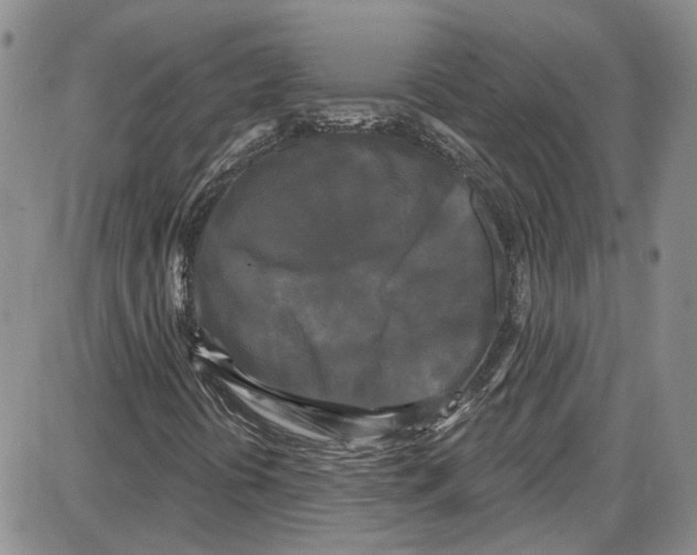 X0000087631394200705311317