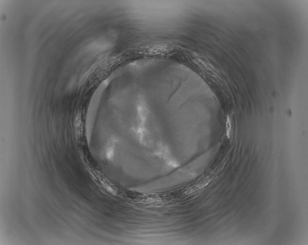 X0000087631395200705311317