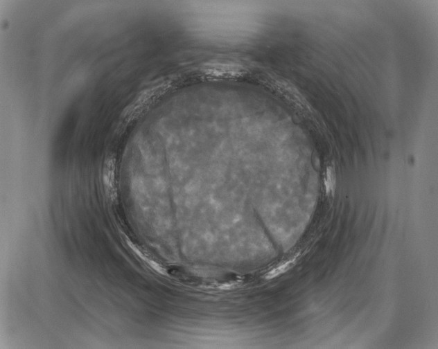 X0000087631396200705311317