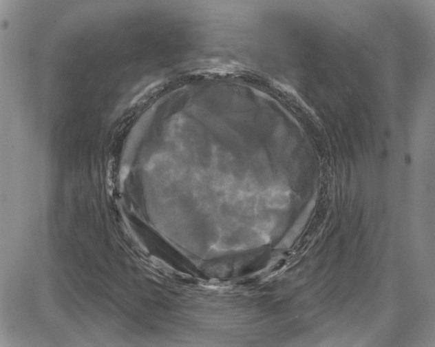 X0000087631399200705311317