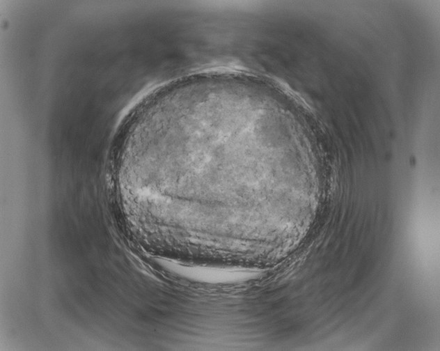 X0000087631400200705311317