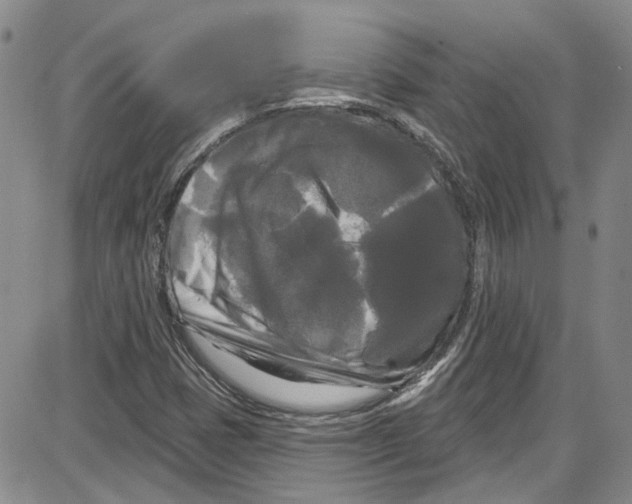 X0000087631401200705311317