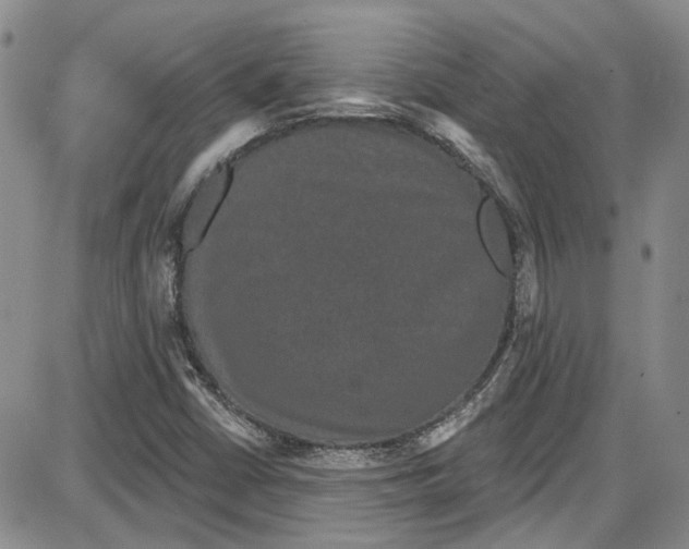 X0000087631402200705311317