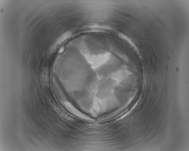 X0000087631403200705311317