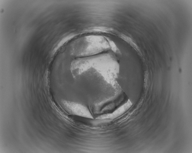 X0000087631404200705311317