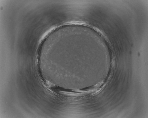 X0000087631406200705311317