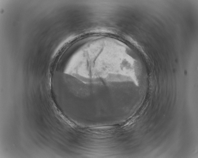 X0000087631408200705311317