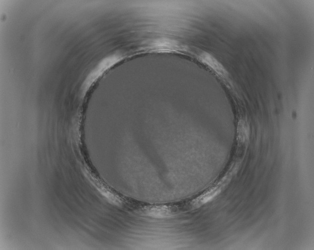 X0000087631410200705311317