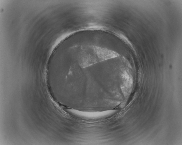 X0000087631412200705311317