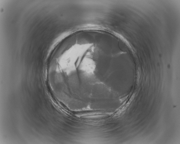 X0000087631413200705311317