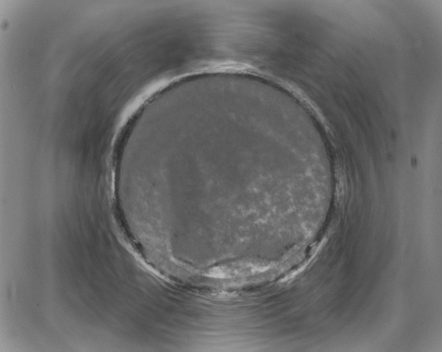 X0000087631414200705311317