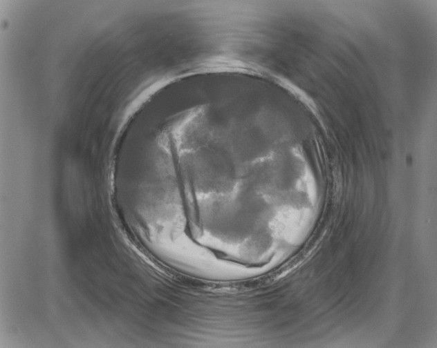 X0000087631415200705311317