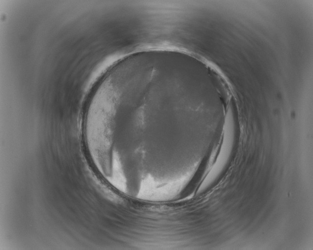 X0000087631416200705311317