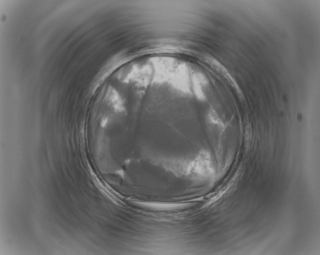 X0000087631417200705311317