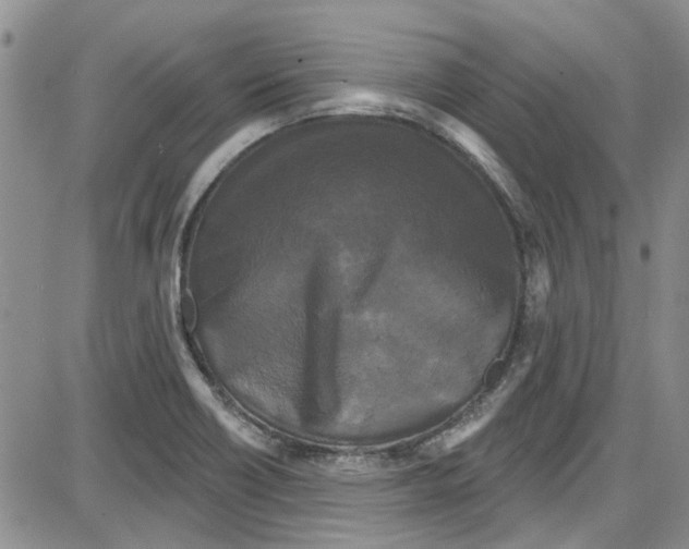 X0000087631418200705311317