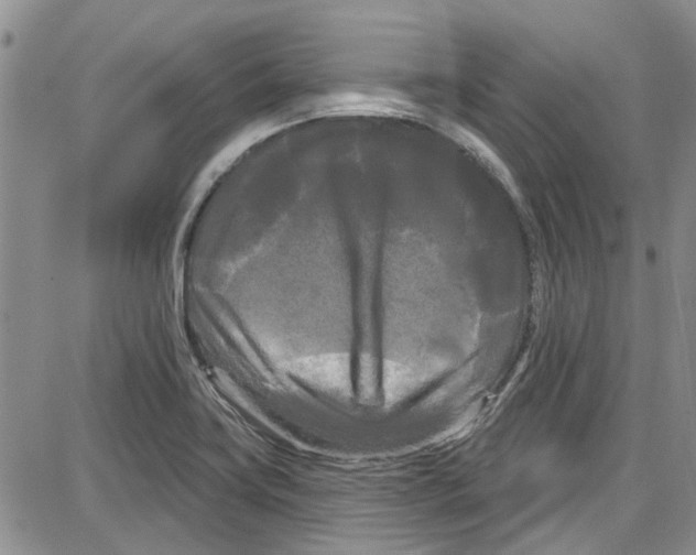 X0000087631419200705311317