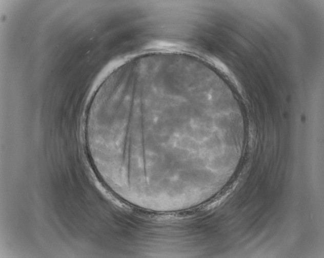 X0000087631421200705311317