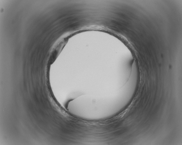 X0000087631422200705311317