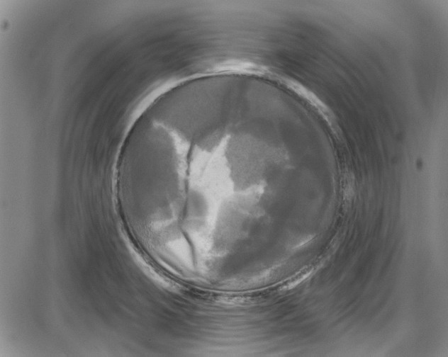 X0000087631423200705311317