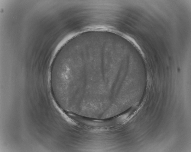 X0000087631424200705311317