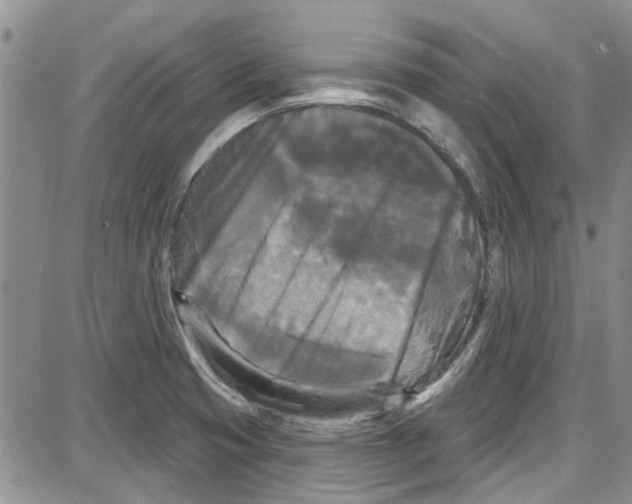 X0000087631425200705311317