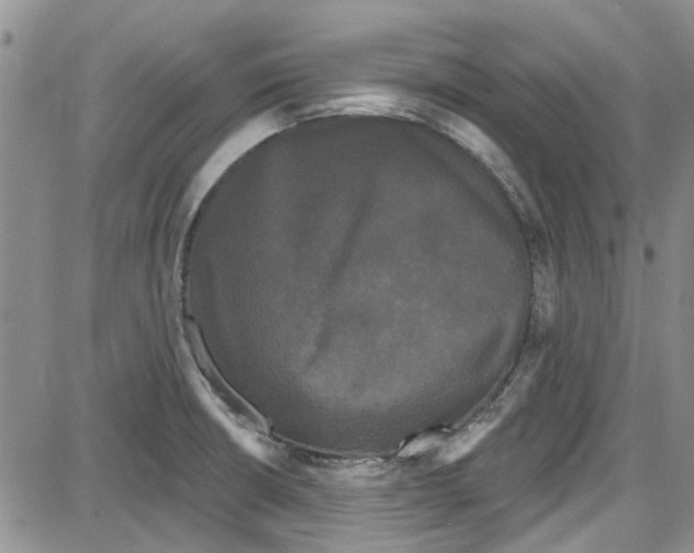 X0000087631426200705311317