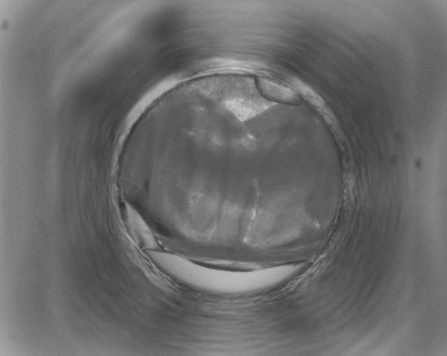 X0000087631427200705311317