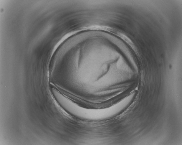 X0000087631428200705311317