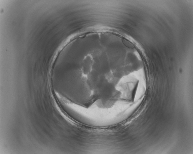 X0000087631429200705311317