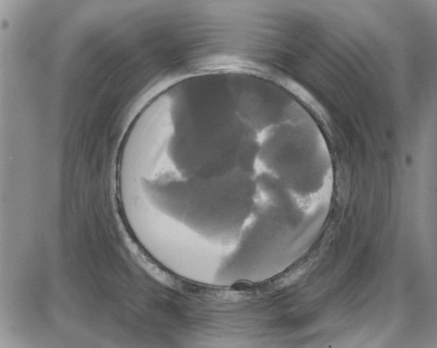 X0000087631431200705311317