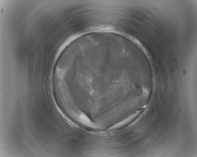 X0000087631432200705311317