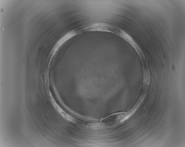 X0000087631434200705311317