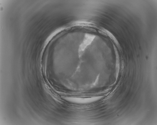 X0000087631435200705311317