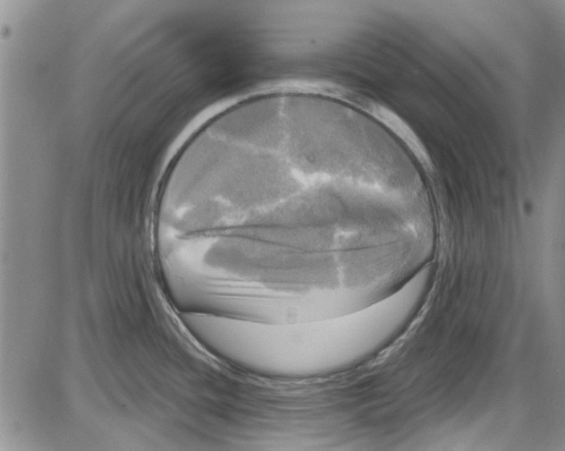 X0000087631436200705311317