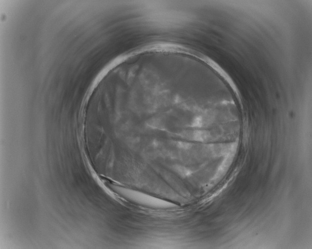 X0000087631437200705311317