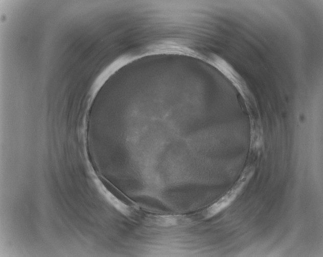 X0000087631438200705311318