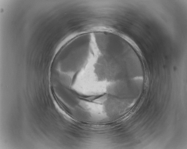 X0000087631439200705311318