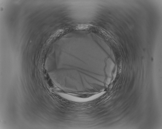 X0000087631441200705311317