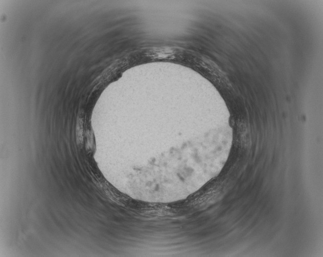 X0000087631442200705311317